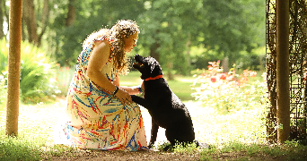 valentine pet sitter à BEAULON 03230_3