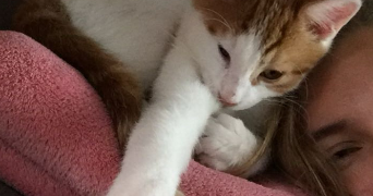 sofia pet sitter à LILLE 59000_3