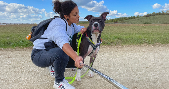 Audrey pet sitter à Moissy-Cramayel 77550_3