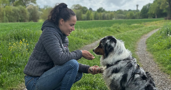 tracy pet sitter à ST AUGUSTIN DES BOIS 49170_6