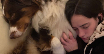 valentine pet sitter à VIRY CHATILLON 91170_3