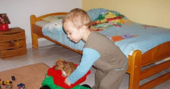 maxence pet sitter à LIMOGES 87000_2