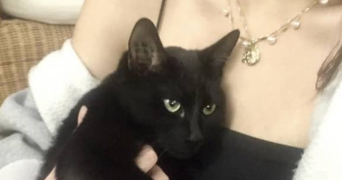 lisa pet sitter à ROSNY SOUS BOIS 93110_3
