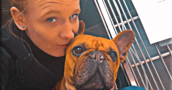 lietard pet sitter à LILLE 59800_1