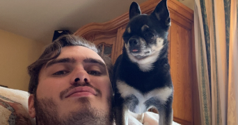 enzo pet sitter à PIERREFITTE SUR SEINE 93380_1