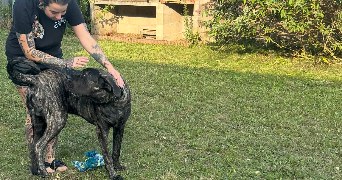 déborah  pet sitter à BETHENIVILLE 51490_4