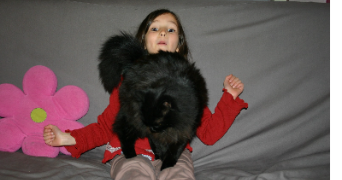 manon cat sitter à DIJON 21000_1