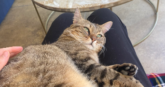 anais pet sitter à NANTERRE 92000_9