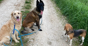 marlène pet sitter à VEZERONCE CURTIN 38510_1