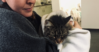 clémence pet sitter à PARIS 11 75011_2