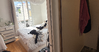 joséphine pet sitter à PARIS 12 75012_6