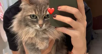 charlotte pet sitter à AJACCIO 20090