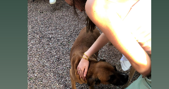 mathilde pet sitter à ANGERS 49100_2