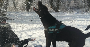 aurelie pet sitter à FRAIZE 88230_1