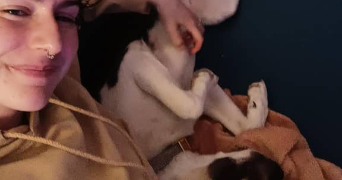maële pet sitter à METZ 57000_3