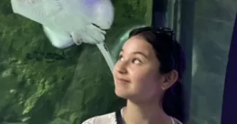 cynthia pet sitter à CARQUEFOU 44470