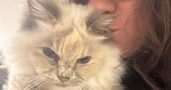 delphina pet sitter à FONTENAY ST PERE 78440_7