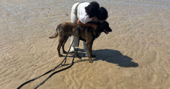 noémie pet sitter à OUISTREHAM 14150_3