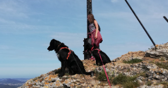 yana pet sitter à VARS SUR ROSEIX 19130_4