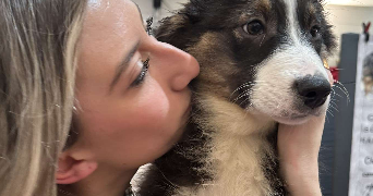 lea pet sitter à TOULOUSE 31000_2