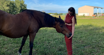 laurie pet sitter à TOULOUSE 31700_4