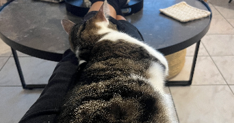 moeata pet sitter à MONTROUGE 92120_2