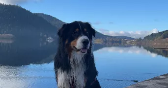 emilie pet sitter à Echenoz la Meline 70000