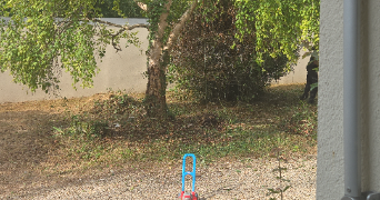 jeanne pet sitter à VILLE ST JACQUES 77130_2