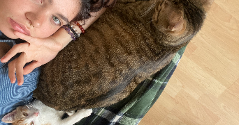 lorenza pet sitter à RENNES 35000_1