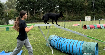 eloïse pet sitter à ST PIERRE LA GARENNE 27600_3