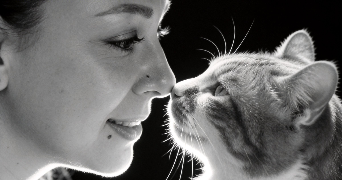 marylène pet sitter à MENNECY 91540_0