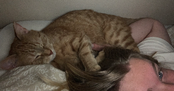 maëlys pet sitter à TOULOUSE 31200_0