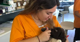 joanna pet sitter à Trets 13530