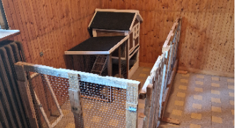 berenger pet sitter à MULHOUSE 68200_1