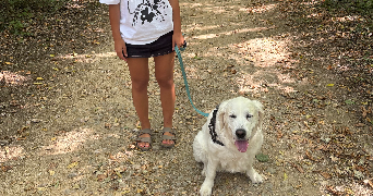 lucie pet sitter à ANGERS 49000_1