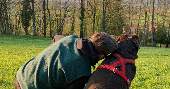 axel dog sitter à LYON 02 69002_1
