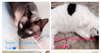 séverine  pet sitter à 59000 Lille 59000_9