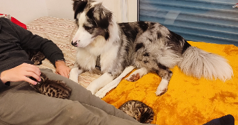 nadège pet sitter à MARIGNANE 13700_7