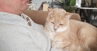 pascale pet sitter à VILLEURBANNE 69100_1