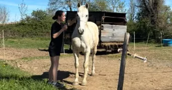 camille pet sitter à Rodez 12000