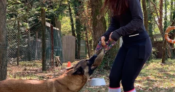 alexia pet sitter à ANNECY 74000_1