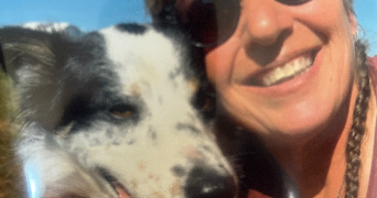 sigrit pet sitter à MONTESQUIEU LAURAGAIS 31450_0