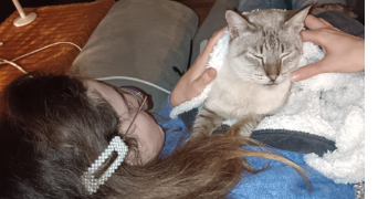 claire cat sitter à MONTARGIS 45200_0