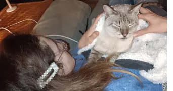 claire cat sitter à MONTARGIS 45200