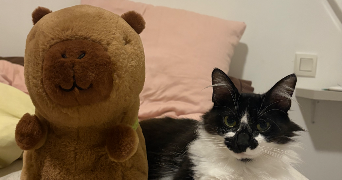 anaïs pet sitter à NUEIL LES AUBIERS 79250_0
