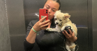 lilas pet sitter à BALMA 31130_1
