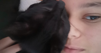 hidaya pet sitter à fontenay le fleury 78330_0