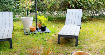 béthanie pet sitter à RUEIL MALMAISON 92500_3