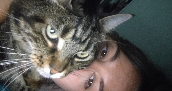 SENIQUE  pet sitter à ST MARTIN D HERES 38400_1