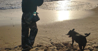 marie pet sitter à ST HERBLAIN 44800_4